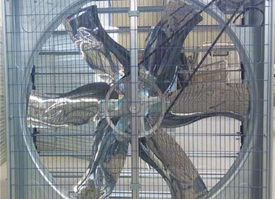 點(diǎn)擊查看詳細(xì)信息<br>標(biāo)題：Push Pull Type Animal Husbandry Fan 閱讀次數(shù)：2162