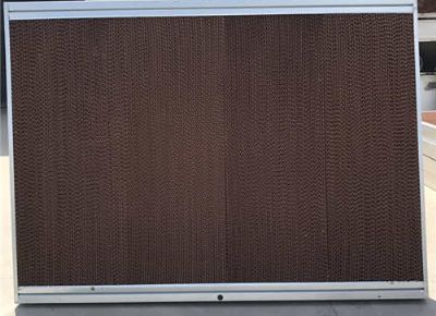 點(diǎn)擊查看詳細(xì)信息<br>標(biāo)題：Wet Curtain 閱讀次數(shù)：1789