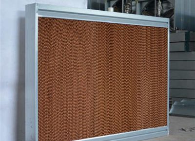 點(diǎn)擊查看詳細(xì)信息<br>標(biāo)題：Wet Curtain 閱讀次數(shù)：2099