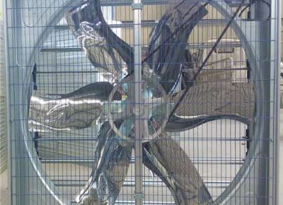 點擊查看詳細信息<br>標題：Push Pull Negative Pressure Fan 閱讀次數：1383